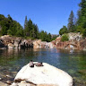 Meet your Posher, Dave